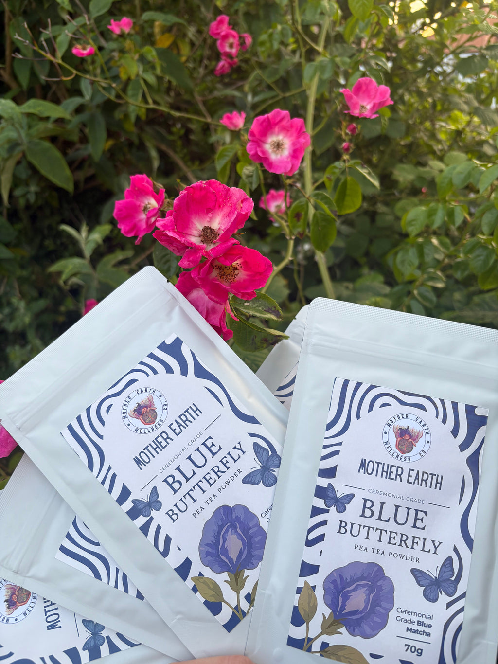 Zeremonielles Blaues Matcha – Blaues Schmetterlingserbsen-Teepulver