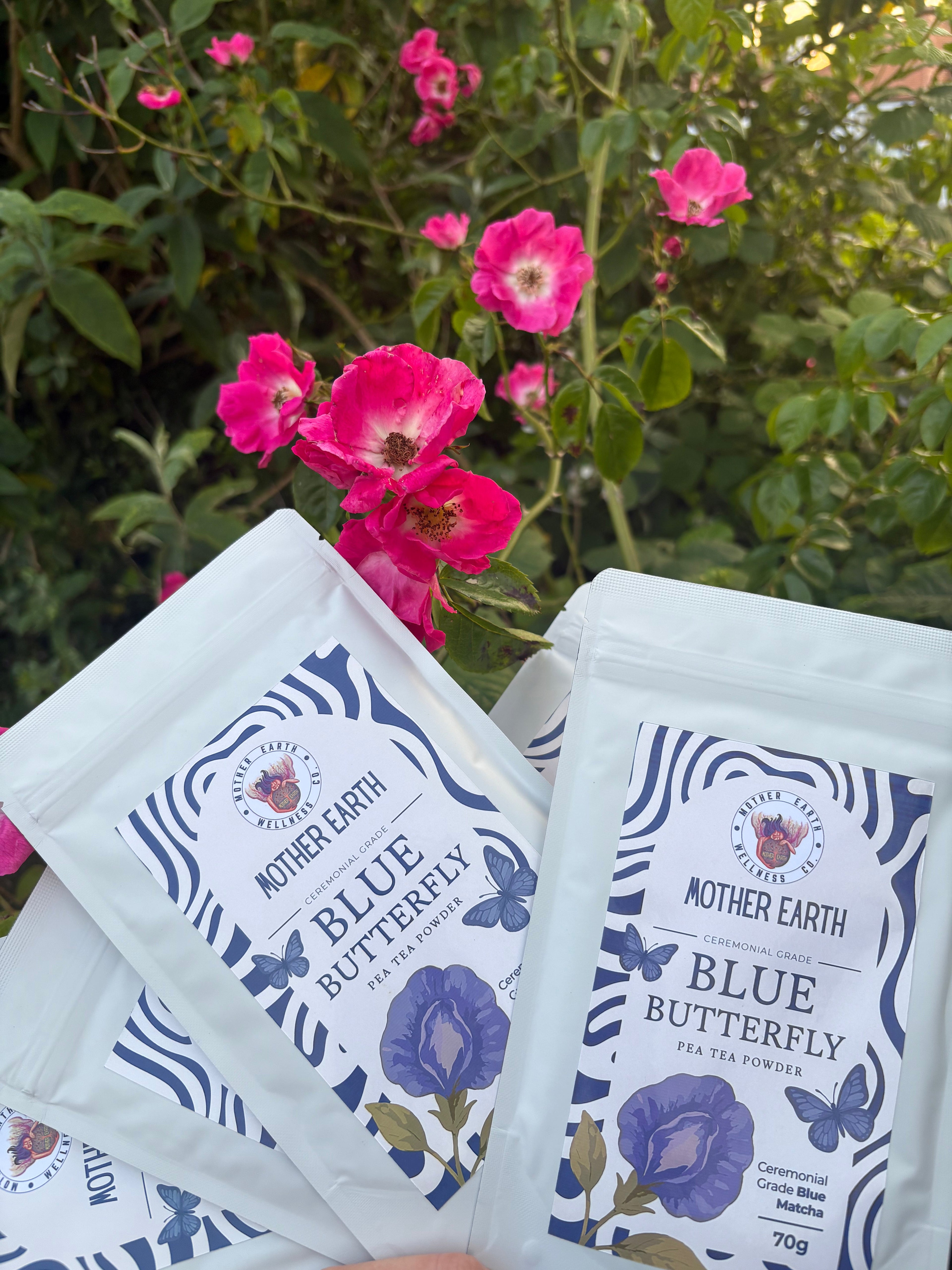 Zeremonielles Blaues Matcha – Blaues Schmetterlingserbsen-Teepulver