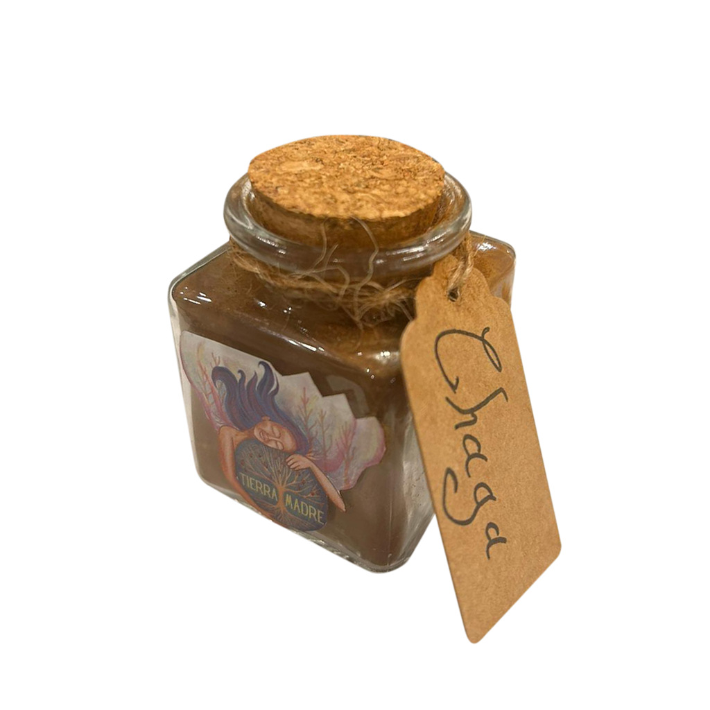Bio-Chaga-Pulver (20g)