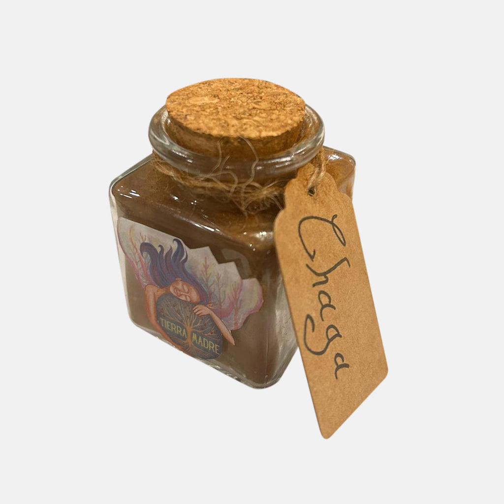 Bio-Chaga-Pulver (20g)